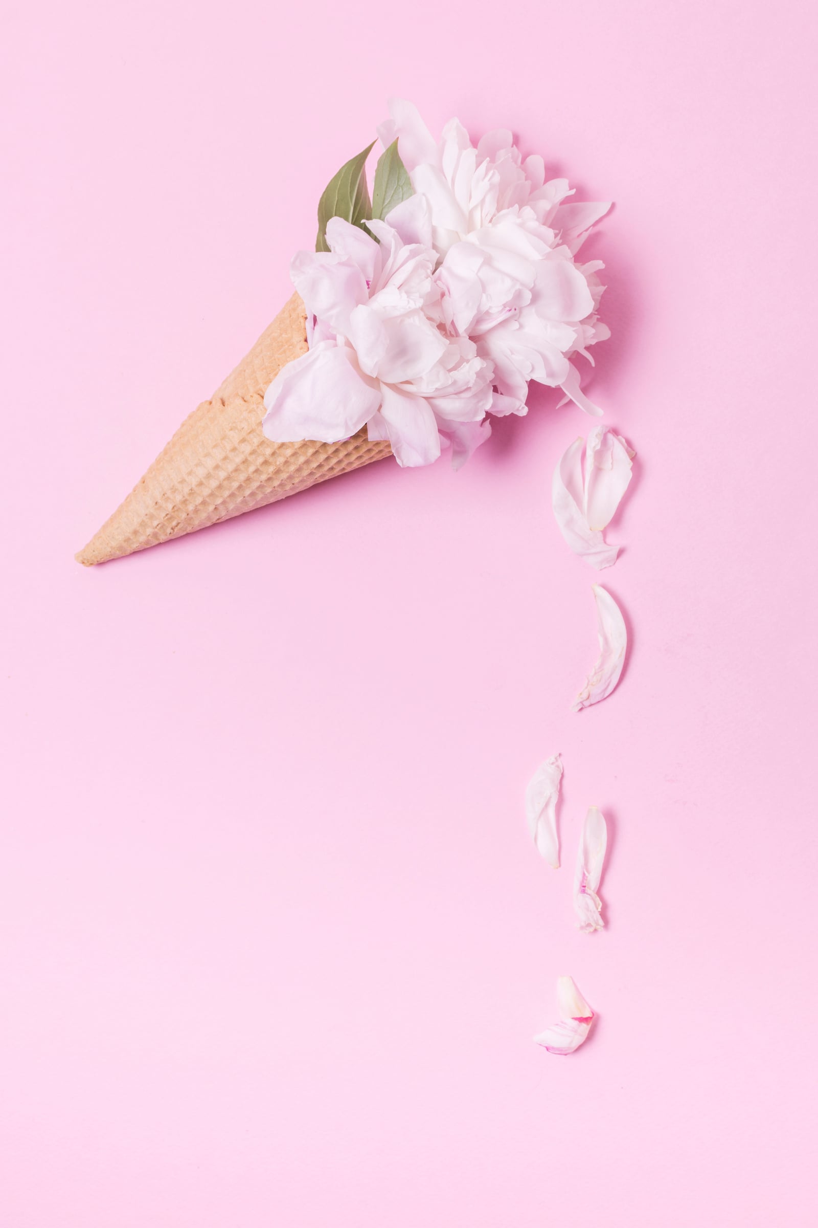 abstract floral ice cream cone with petals